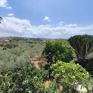 L'araucaria Affittacamere Marsala